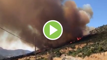 Un tercio de los incendios en Madrid fueron intencionados, según investigaciones