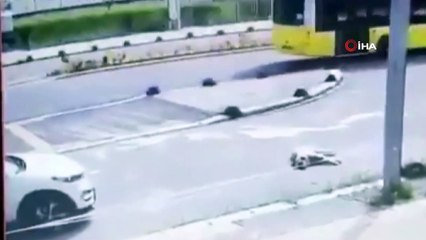 Maltepe’de köpeği ezen doktora hapis istemi