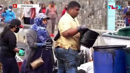 Warga Mauritius Sumbangkan Rambut untuk Bersihkan Minyak