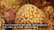 Tiny Robots Inspired by Corals Can Remove Contaminant Particles From Water