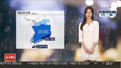 [날씨] 밤까지 남해안 강한 '비'…내일 전국 흐리고 소나기