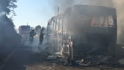 Latina - In fiamme un bus Cotral (11.08.20)