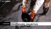 شاهد: محاولات لإنقاذ سواحل موريشيوس بعد تسرب شحنة من النفط
