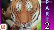 How to paint tiger, hiw to draw tiger, wild animal tiger, sherkhan, swecan, acryalic painting, syberian tiger painting, bangali tiger painting