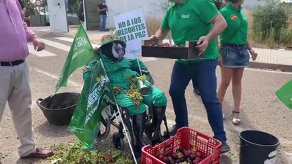 Agricultores se concentran en Mérida por los bajos precios y la "mala situación"
