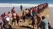 Des vacanciers sauvent un requin qui s’est retrouvé en difficulté sur la plage