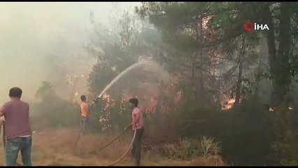 Sakarya’da orman yangını