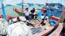 3 tàu cá bị Indonesia bắt giữ tại vùng biển Việt Nam | VTC