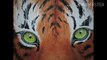 How to draw eyes of tiger, how to paint tiger eyes, pencil shading of tiger eyes, acryalic painting, oil colour painting, water colour painting, swecan