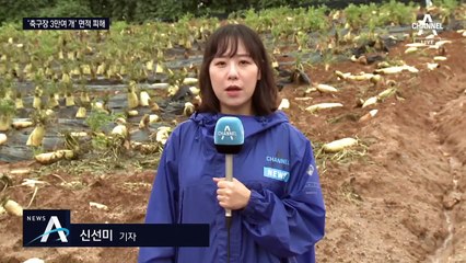 심각한 농경지 피해…축구장 3만 7천 개 면적 침수