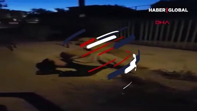 3 aydır kayıp köpeğiyle kavuştu! O anlar izleyenleri duygulandırdı