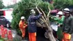 Chinese firefighters rescue motorists after car gets buried under tree blown down by typhoon Mekkhala