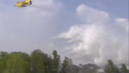 Esclarecido el crimen de un vecino de Cardenete en Cuenca cuyo asesino provocó un incendio forestal