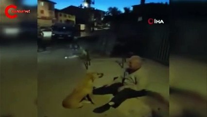 3 aydır kayıp olan köpeğiyle kavuşma anı kamerada