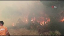Sakarya’da orman yangını; bölgeye çok sayıda itfaiye ekibi sevk edildi