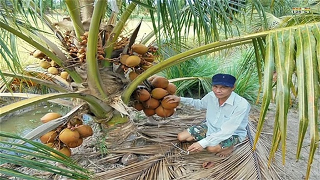 Top 11 easy to grow fruit trees and plants for beginners