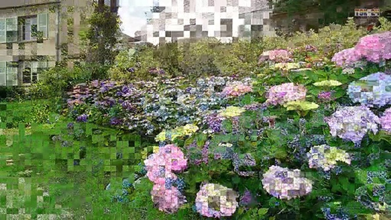 90 Most Popular Landscaping Design Ideas