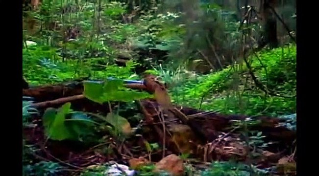 Russian space aliens UFO Alien Encounter Caught on Tape! Russia