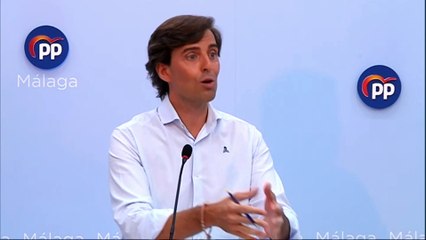 Montesinos (PP) elogia a Álvarez de Toledo: "Es una magnífica portavoz"