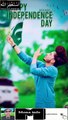 tiktok Videos14August Independence Day Pakistan 2020  اگست یوم آزادی 14