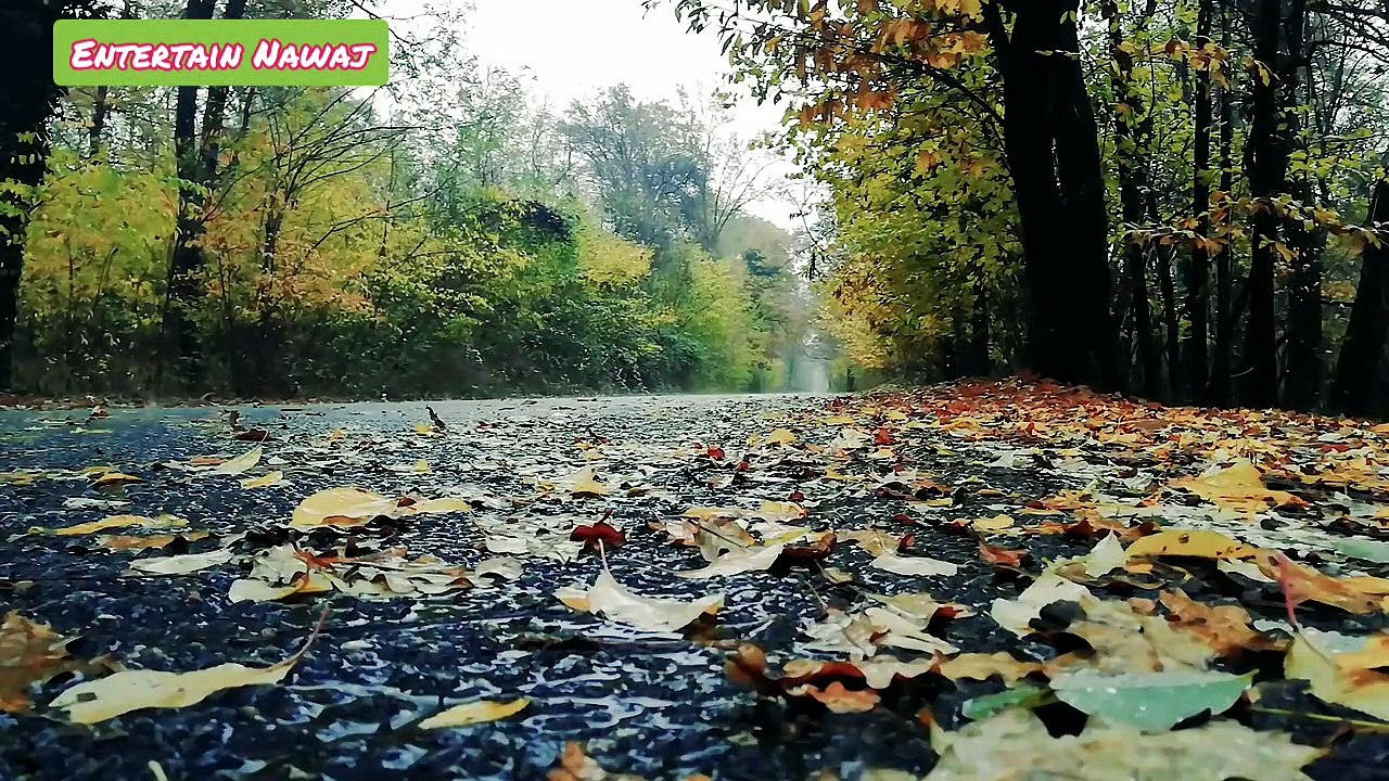 Rain sounds for sleeping