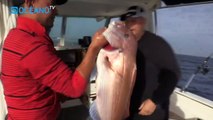 Pesca en Cádiz con vivo y señuelos, Documental