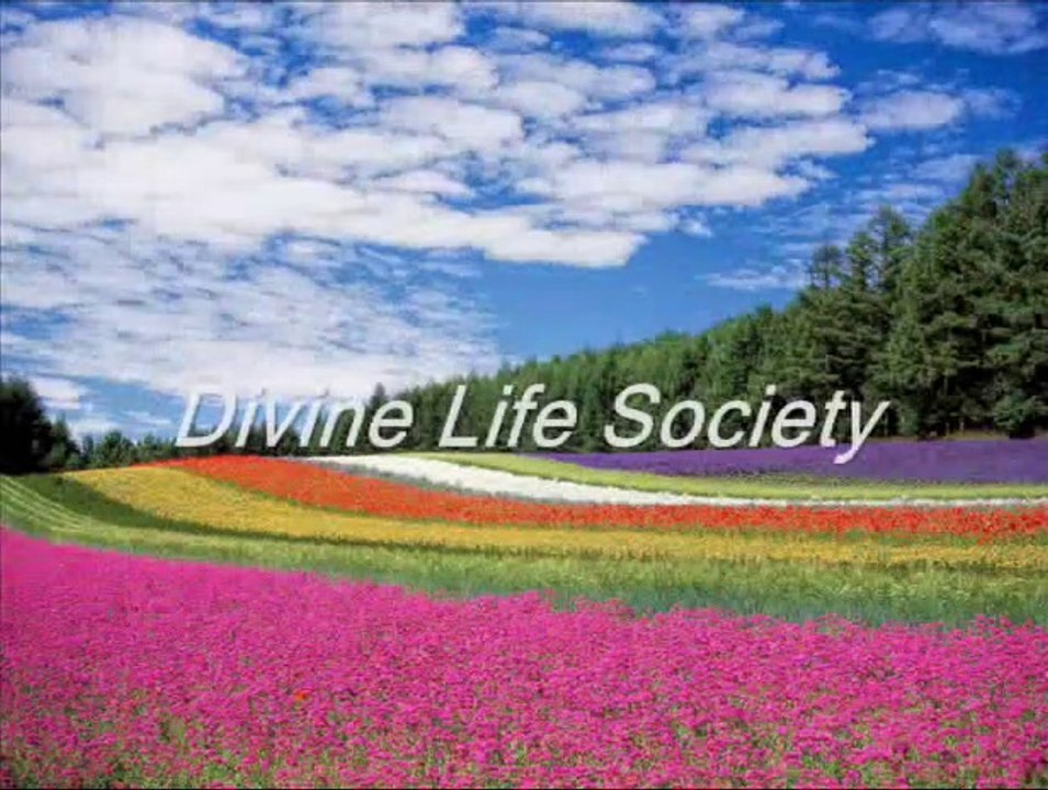 Divine Life Society