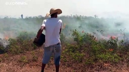 Queimadas na Amazónia sem fim à vista