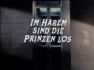 Mini-Max - 051. Im Harem sind die Prinzen los