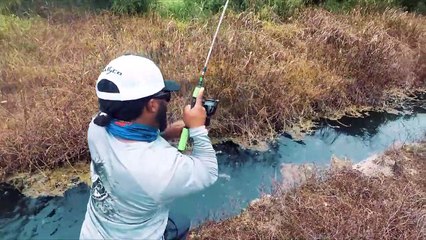 HUGE Fish in TINY Crystal Clear Ditch! Freshwater Fishing