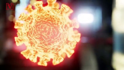 Half of Americans Personally Know Someone with COVID-19