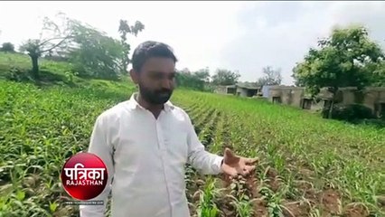 आधा मानसून बीता फिर भी मूसलाधार का इंतजार