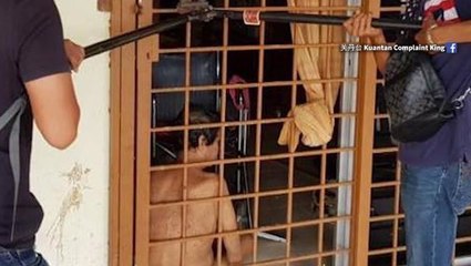 Police rescue partially paralysed senior citizen locked up by children