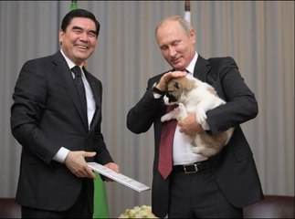 Dog lover Putin gifted puppy for his birthday