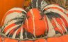 Ghoulish fever hits British pumpkin farmers