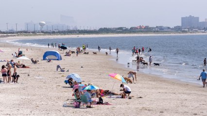 Sea Lice Are Lurking in New Jersey Waters — How to Keep Them Away