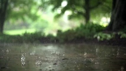 L'eau Gouttes Flaque D'eau