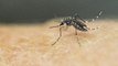 First reported case of Zika in pregnant woman
