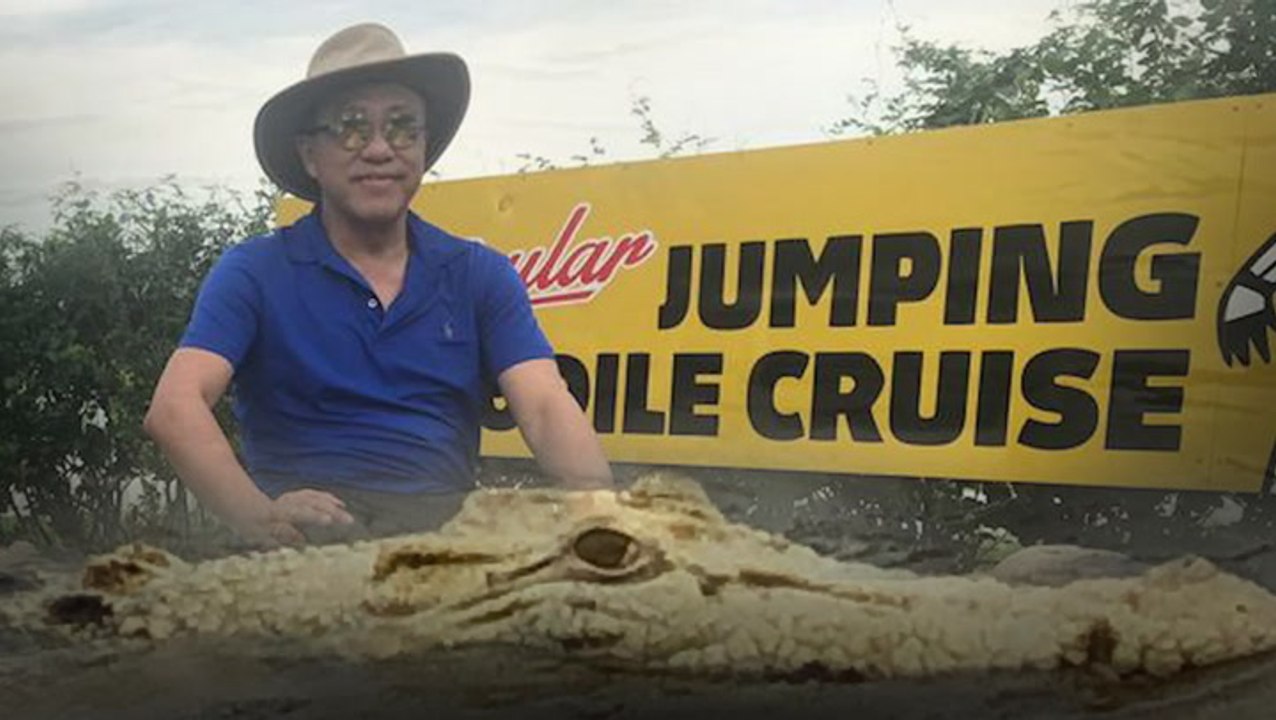 OFF THE BEAT: In search of Pearl, the rare white crocodile