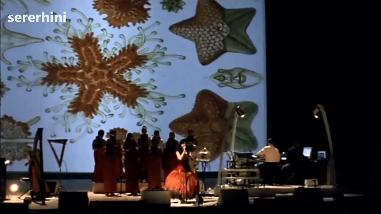 Björk — “It's Not Up to You” – Performed and Written by Björk | (from Björk ‎– Vespertine Live at Royal Opera House — 065078–9)