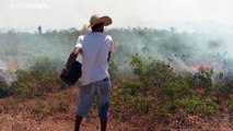 Miles de incendios azotan la Amazonía