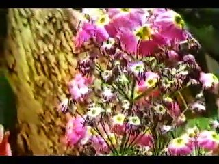 BBC Horizon 1980 Moving Still [Documentary]