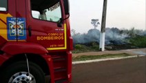 Bombeiros combatem incêndio ambiental no Bairro Universitário