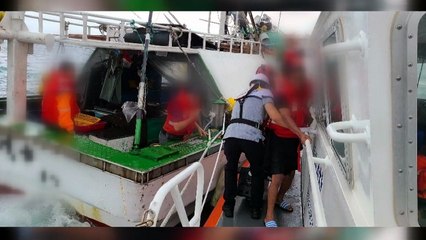 용인 냉동창고에 불...제주도 선박 충돌 사고 / YTN