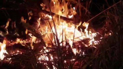 Incêndio ambiental atinge extensa área de vegetação na Região da FAG