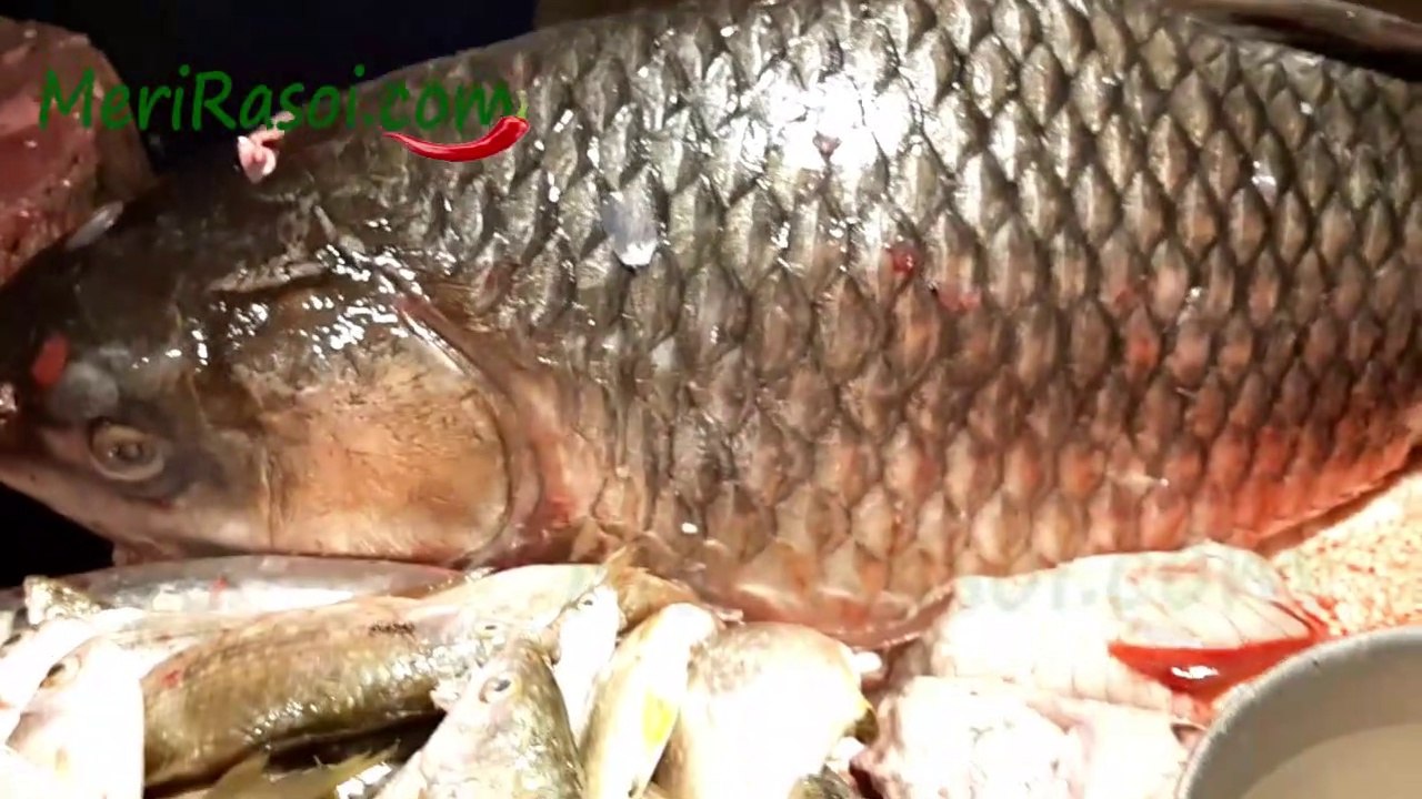 Fish Market of Chandigarh fish cutting skills Indian Fish Market