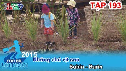 Những chú vịt con - Bé Subin - Burin | CON ĐÃ LỚN KHÔN | Tập 193