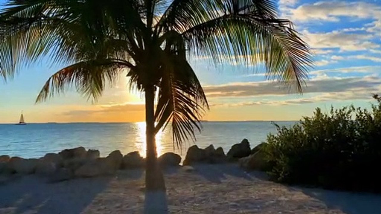 Calming Sounds