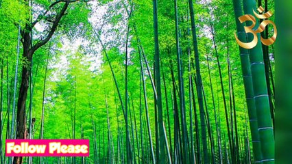 ഉത്രം നക്ഷത്രത്തിൽ ജനിച്ചവരാണോ നിങ്ങൾ  എങ്കിൽ ഇതു കാണാതെ പോകരുത് Uthram