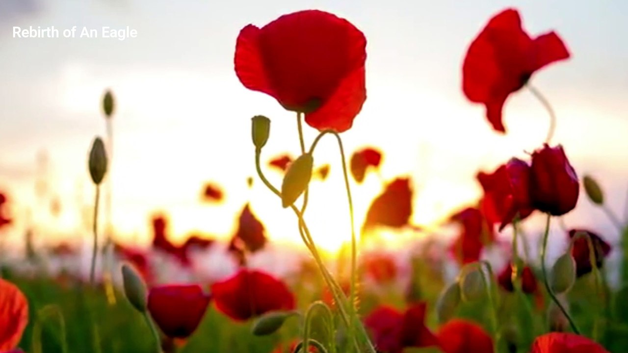 कुछ सच्ची और अनमोल बातें I Inspirational, heart touching and motivational Hindi quotes